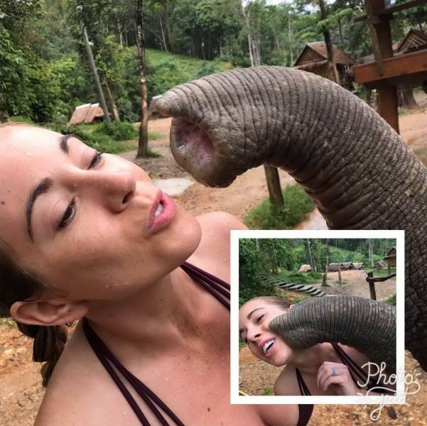 daily picdump 99 pics 39.html - 99 HD Photos | Premium Gallery 2019