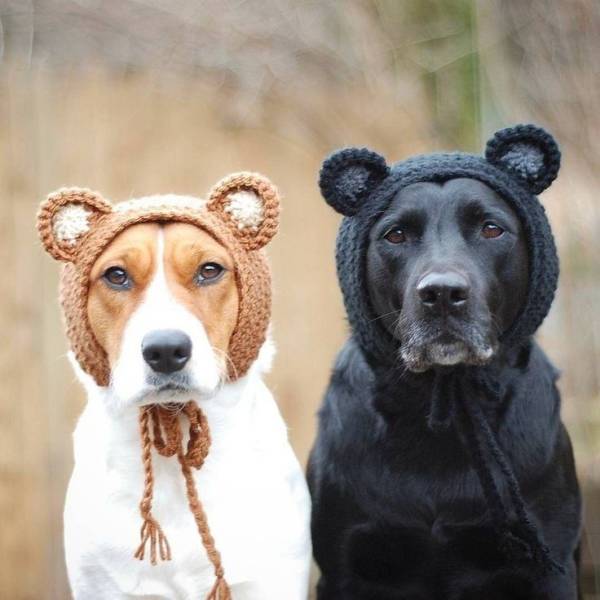 daily picdump 99 pics 39.html - 99 HD Photos | Premium Gallery 2019