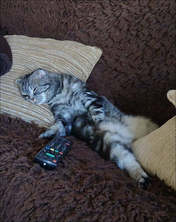 daily picdump 99 pics 39.html - 99 HD Photos | Premium Gallery 2019