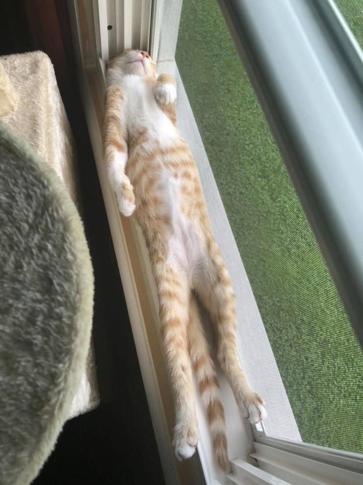 daily picdump 99 pics 39.html - 99 HD Photos | Premium Gallery 2019