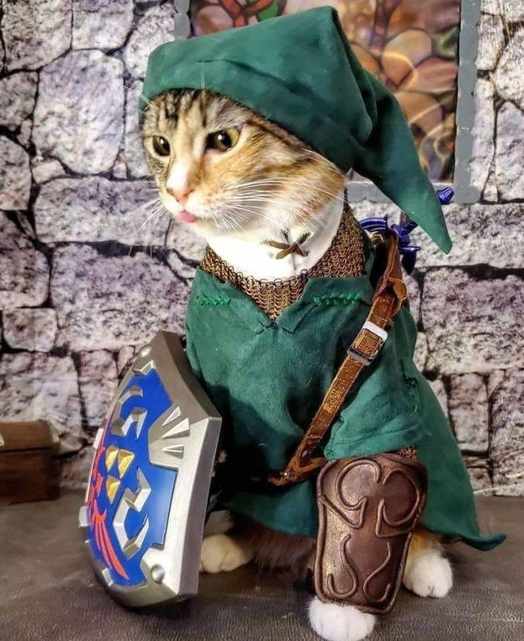 daily picdump 99 pics 39.html - 99 HD Photos | Premium Gallery 2019