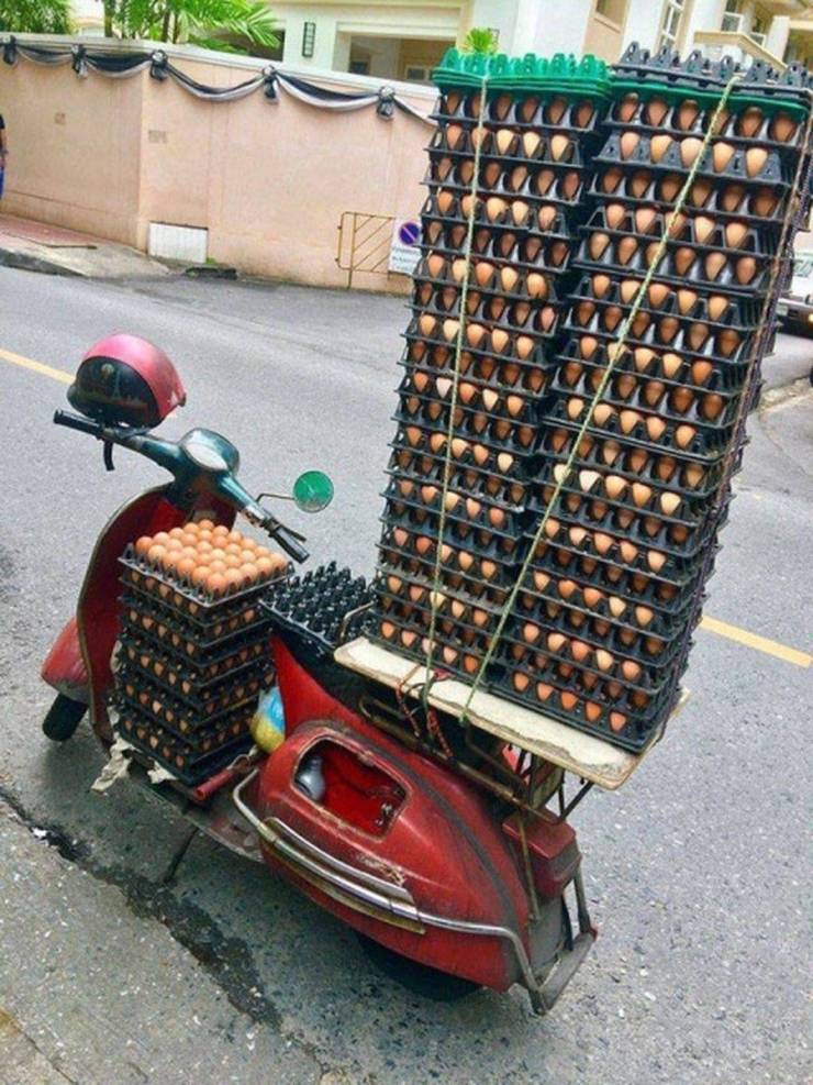 daily picdump 99 pics 39.html - 99 HD Photos | Premium Gallery 2019