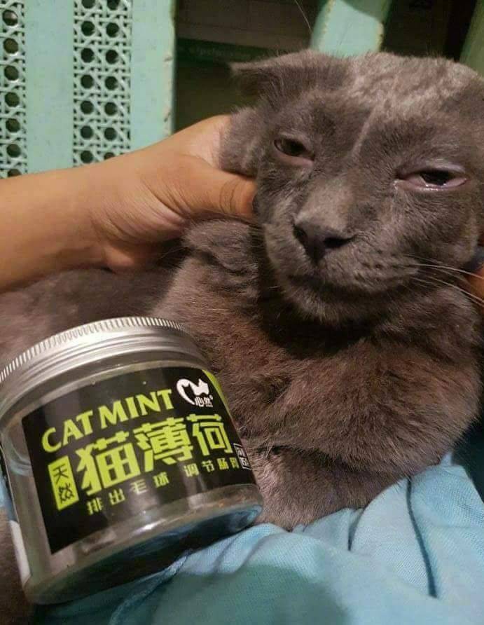 daily picdump 99 pics 39.html - 99 HD Photos | Premium Gallery 2019