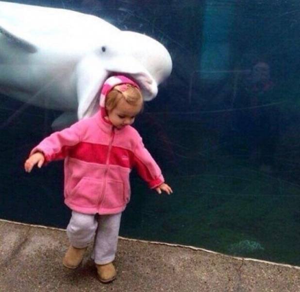 Photobombs Add A Little Spice