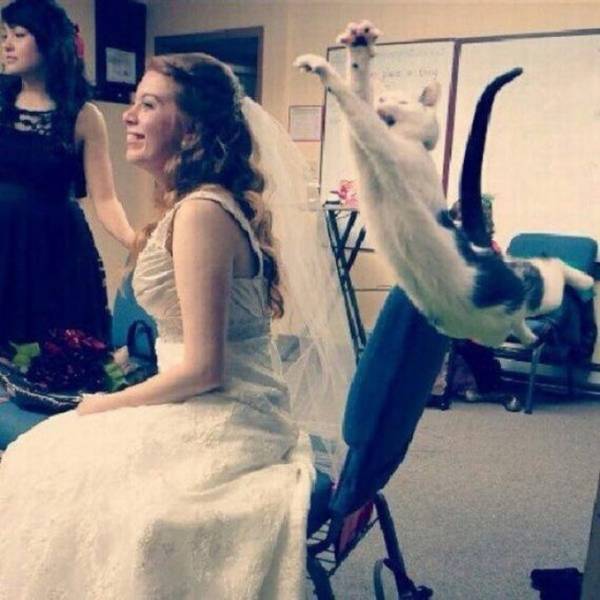 Photobombs Add A Little Spice