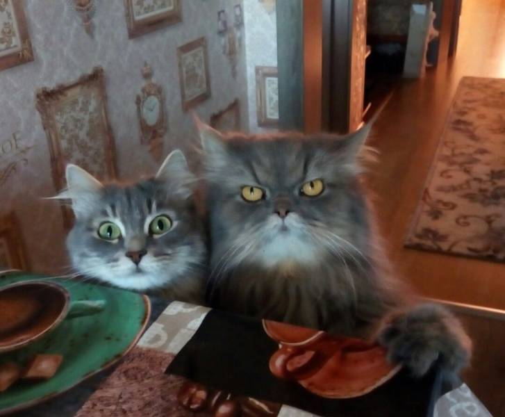 Daily Picdump