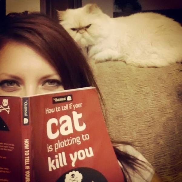 daily picdump 102 pics 11.html - 102 HD Photos | Premium Gallery 2019