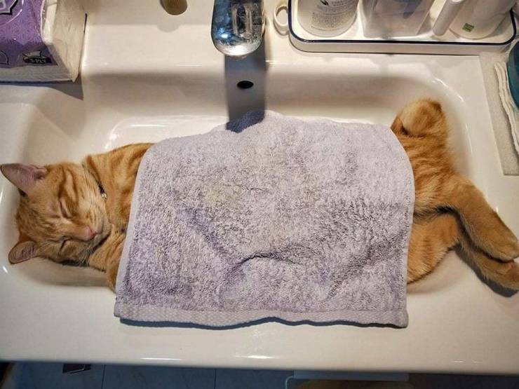 Daily Picdump
