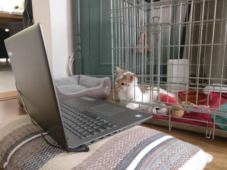 daily picdump 102 pics 11.html - 102 HD Photos | Premium Gallery 2019