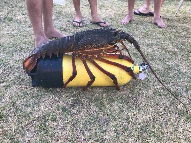 daily picdump 102 pics 11.html - 102 HD Photos | Premium Gallery 2019