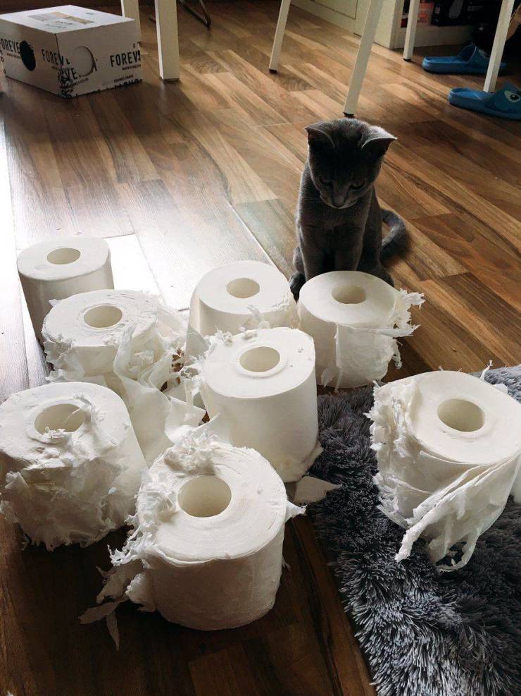 Daily Picdump