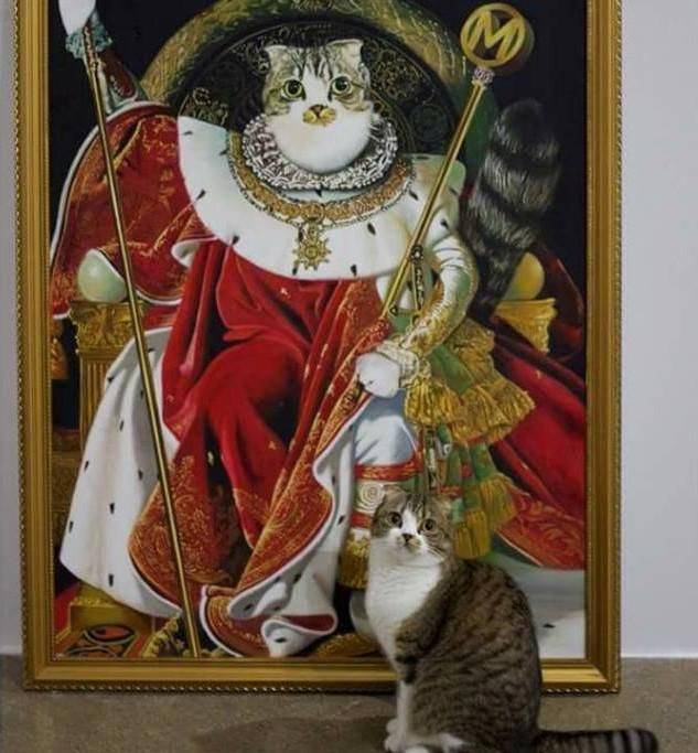 Daily Picdump