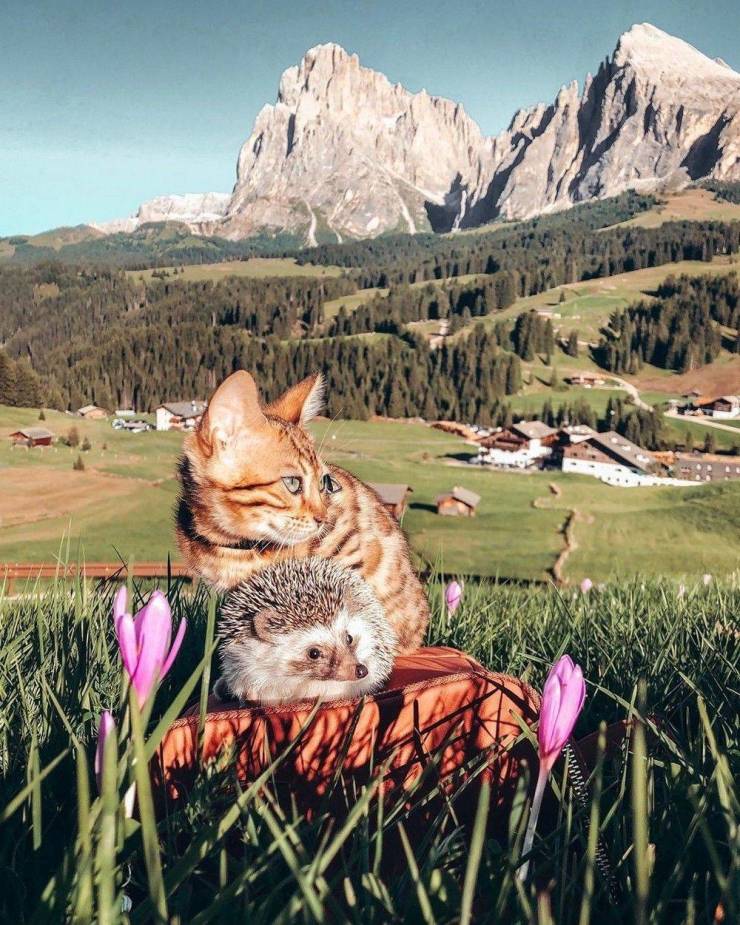 daily picdump 102 pics 11.html - 102 HD Photos | Premium Gallery 2019