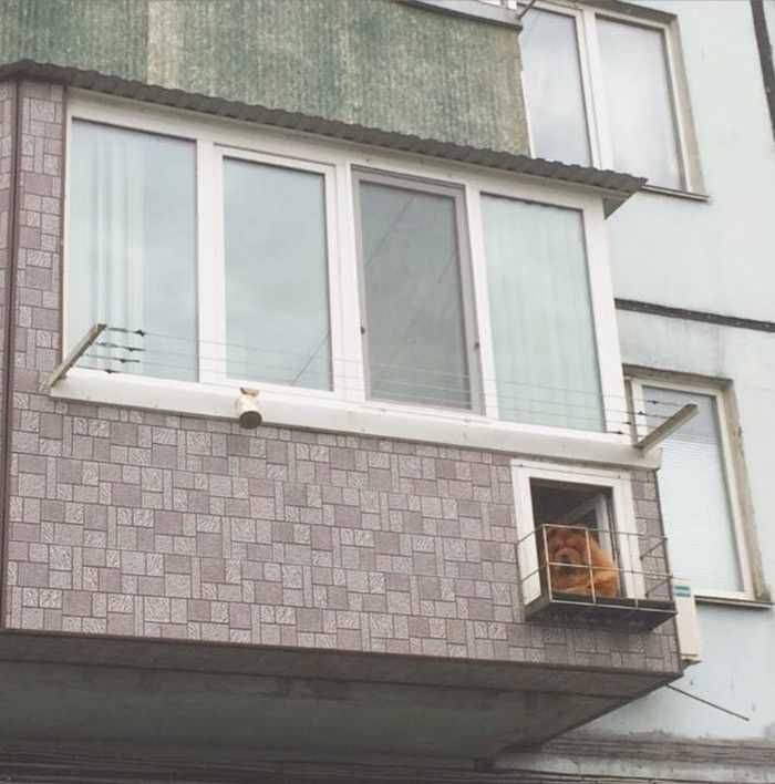 daily picdump 102 pics 11.html - 102 HD Photos | Premium Gallery 2019