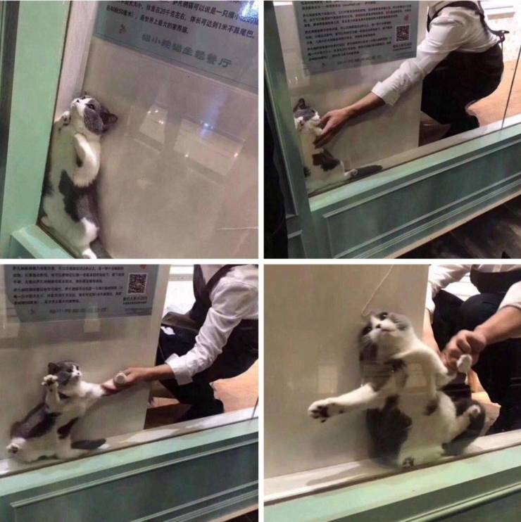 daily picdump 102 pics 11.html - 102 HD Photos | Premium Gallery 2019