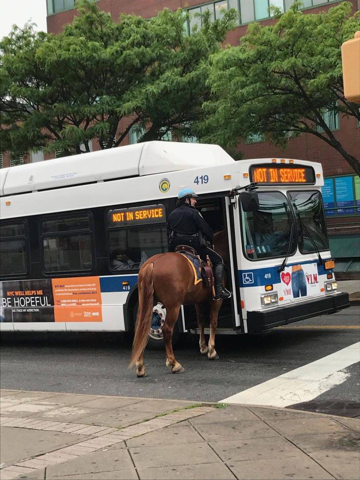 daily picdump 102 pics 11.html - 102 HD Photos | Premium Gallery 2019