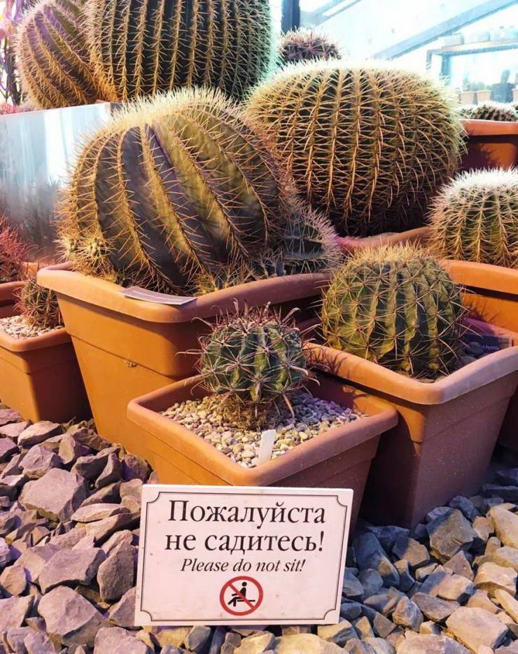 daily picdump 102 pics 11.html - 102 HD Photos | Premium Gallery 2019