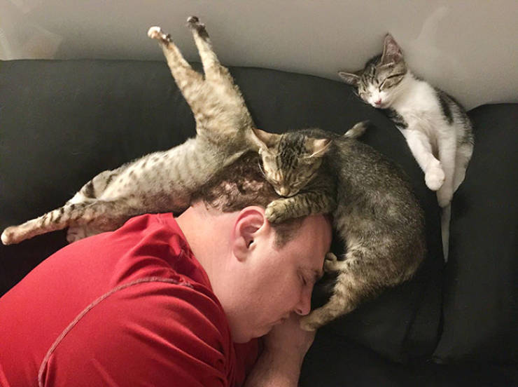 Hilarious Times People Were Caught Sleeping