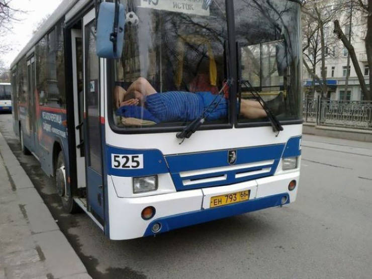 Hilarious Times People Were Caught Sleeping