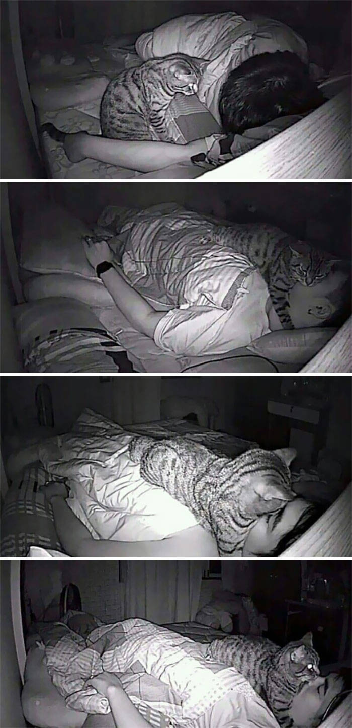 Hilarious Times People Were Caught Sleeping