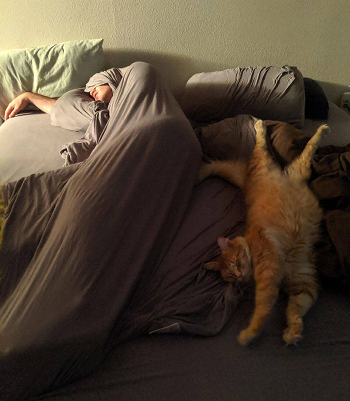 Hilarious Times People Were Caught Sleeping