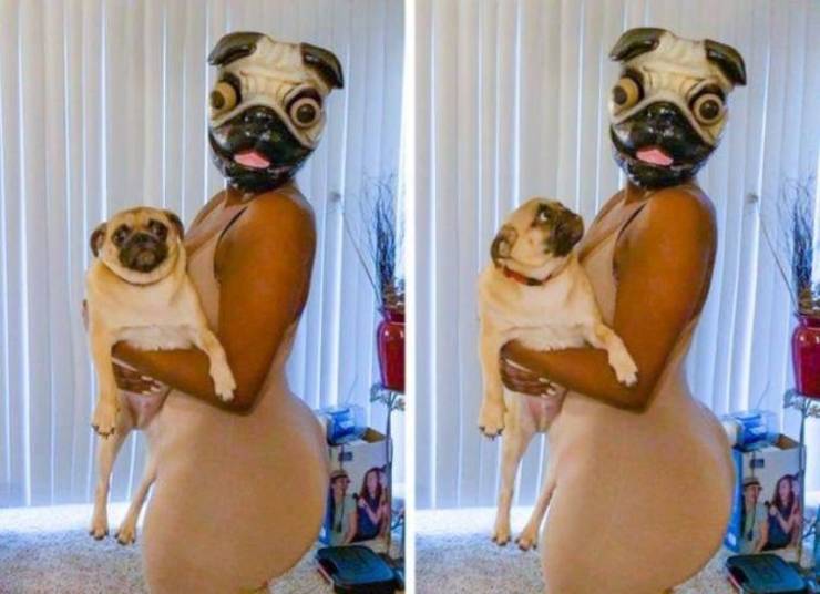 daily picdump 94 pics 14.html - 94 HD Photos | Premium Gallery 2019