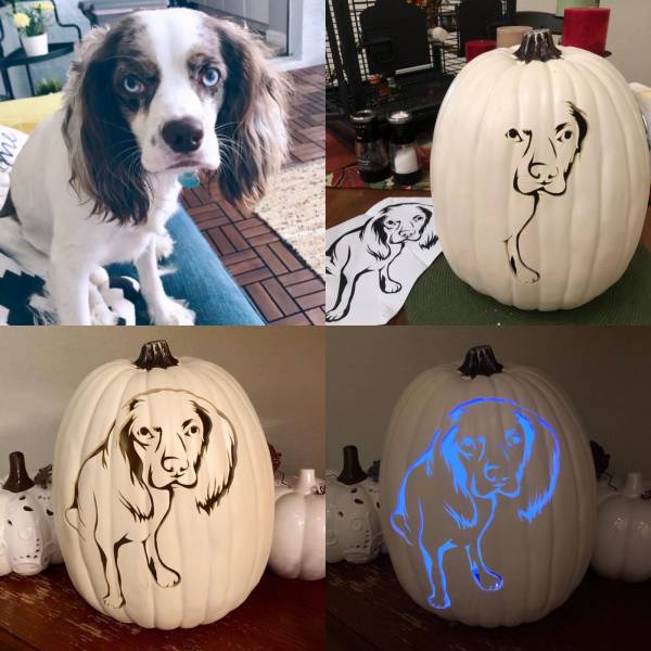 daily picdump 94 pics 14.html - 94 HD Photos | Premium Gallery 2019