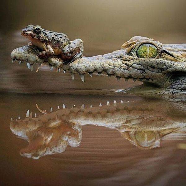 daily picdump 94 pics 14.html - 94 HD Photos | Premium Gallery 2019