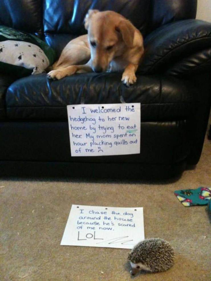Daily Picdump