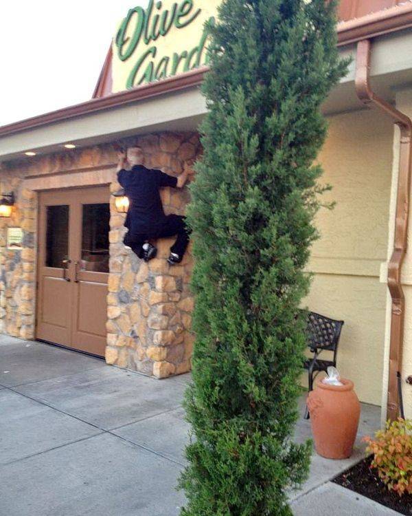 Daily Picdump