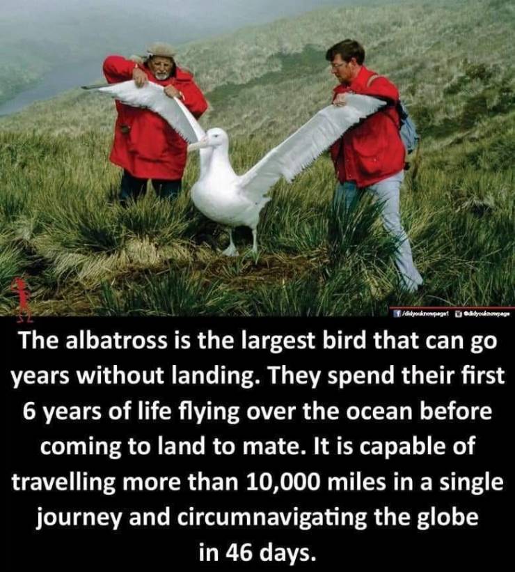 daily picdump 94 pics 14.html - 94 HD Photos | Premium Gallery 2019