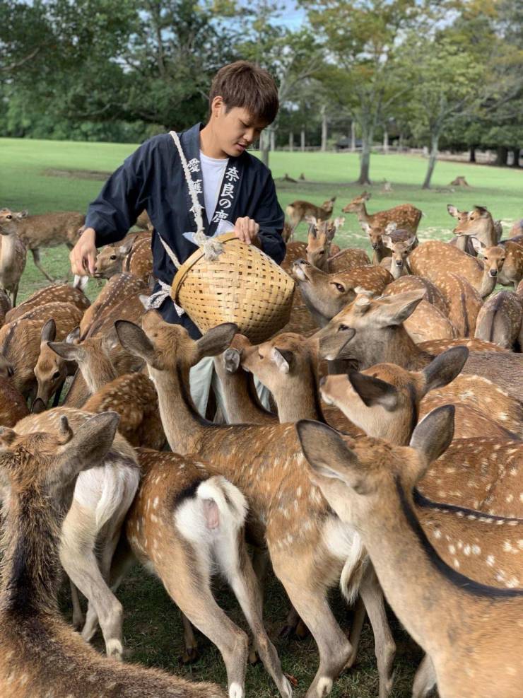 daily picdump 94 pics 14.html - 94 HD Photos | Premium Gallery 2019