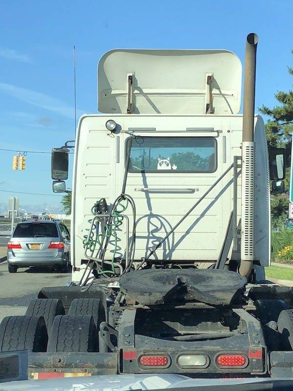 daily picdump 94 pics 14.html - 94 HD Photos | Premium Gallery 2019