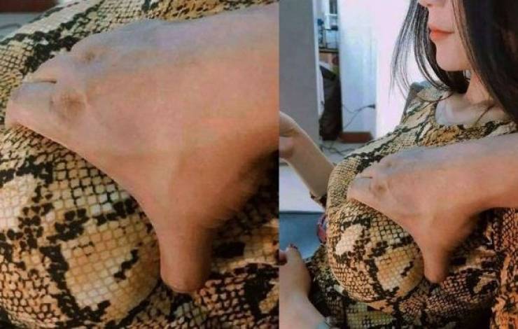 grownup corner 67 pics 11.html - 67 HD Photos | Premium Gallery 2019