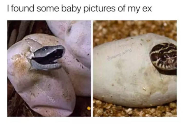 And How Was Your Ex?