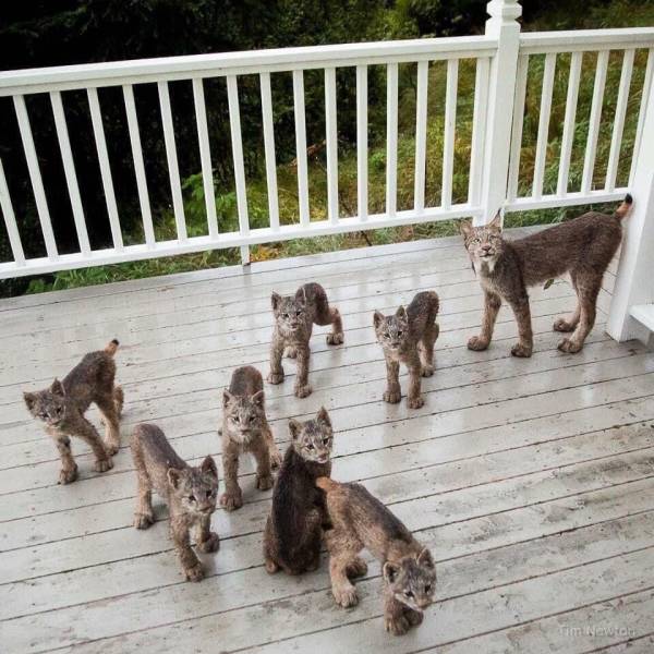 daily picdump 94 pics 1.html - 94 HD Photos | Premium Gallery 2019