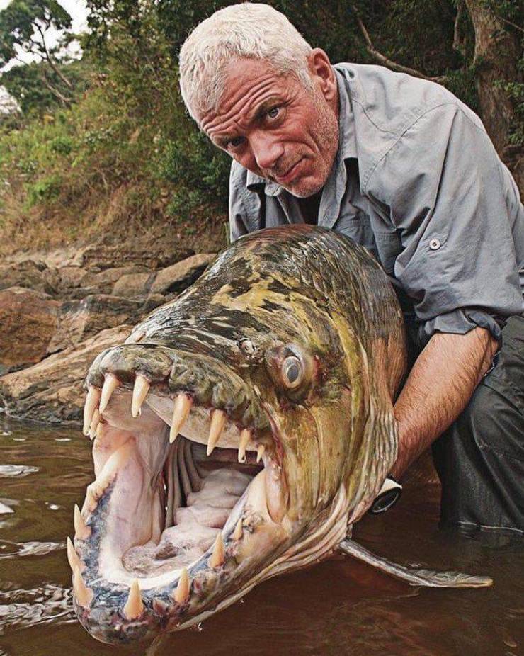 Daily Picdump