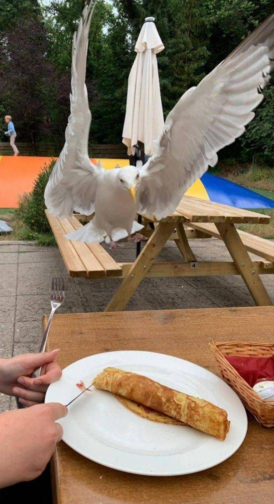 Daily Picdump