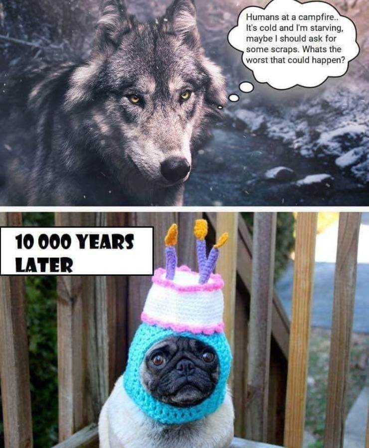 daily picdump 94 pics 1.html - 94 HD Photos | Premium Gallery 2019