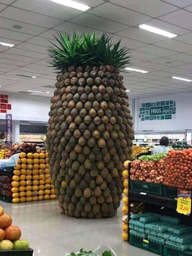 daily picdump 94 pics 1.html - 94 HD Photos | Premium Gallery 2019