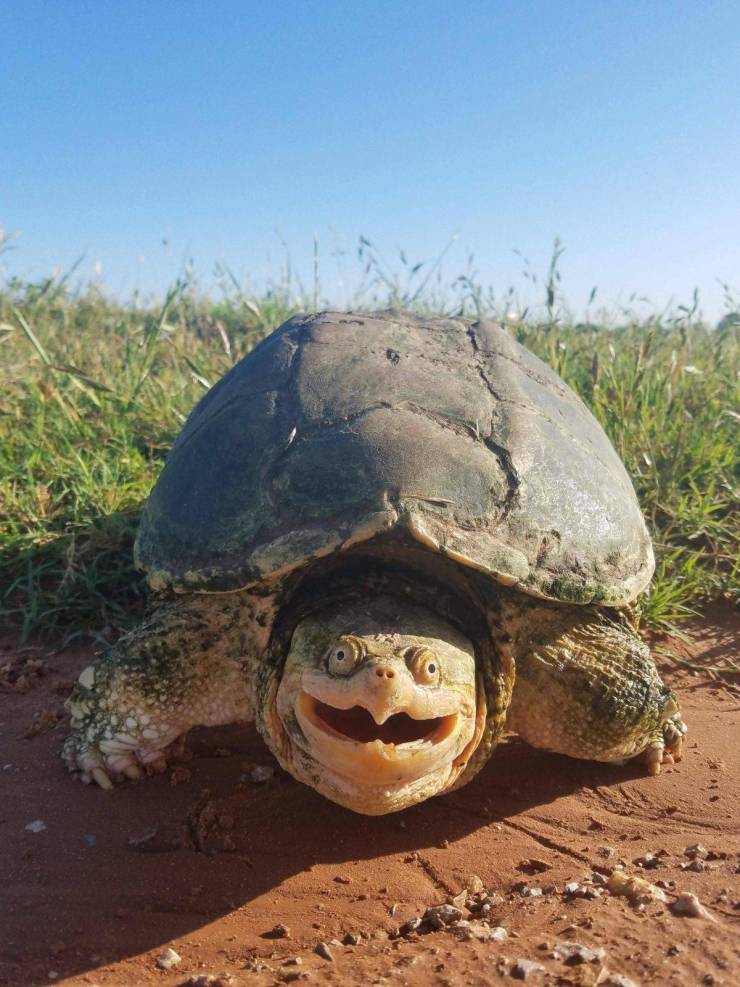 daily picdump 94 pics 1.html - 94 HD Photos | Premium Gallery 2019