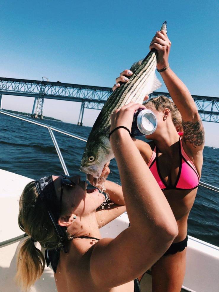 daily picdump 94 pics 1.html - 94 HD Photos | Premium Gallery 2019