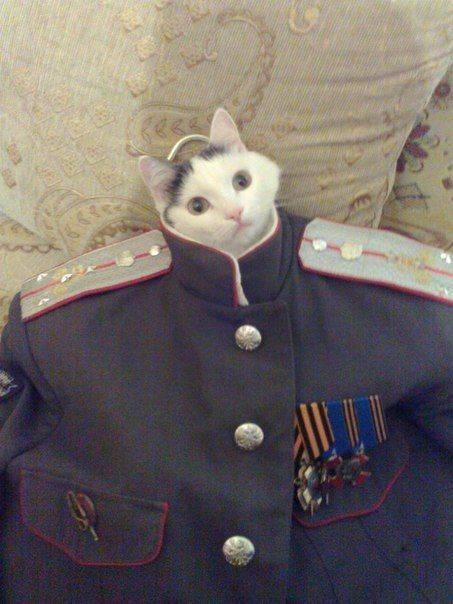 daily picdump 94 pics 1.html - 94 HD Photos | Premium Gallery 2019
