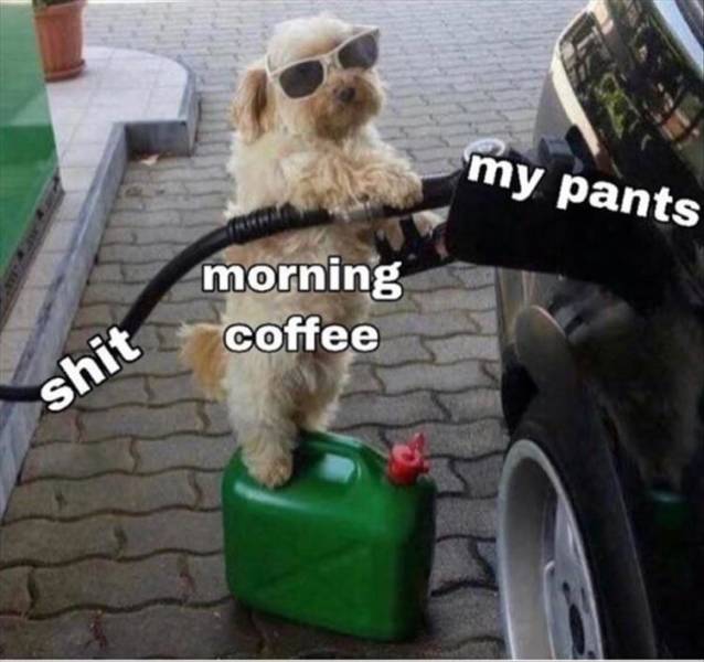 funny picdump 51 pics 5.html - 51 HD Photos | Premium Gallery 2019