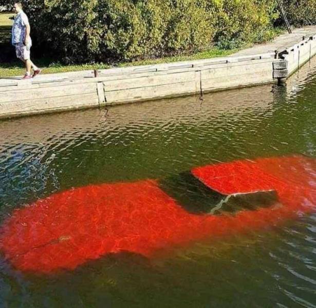 Daily Picdump