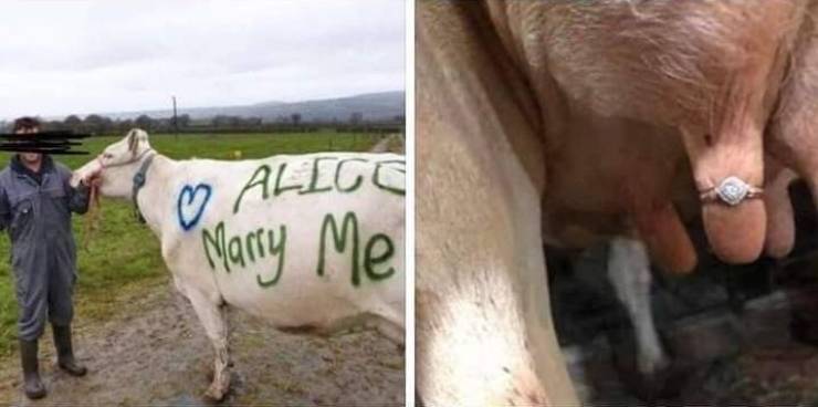 daily picdump 96 pics 39.html - 96 HD Photos | Premium Gallery 2019