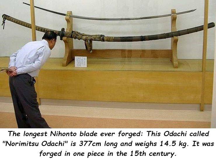 daily picdump 96 pics 39.html - 96 HD Photos | Premium Gallery 2019