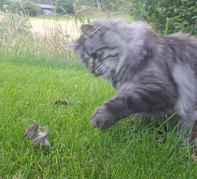 daily picdump 96 pics 39.html - 96 HD Photos | Premium Gallery 2019
