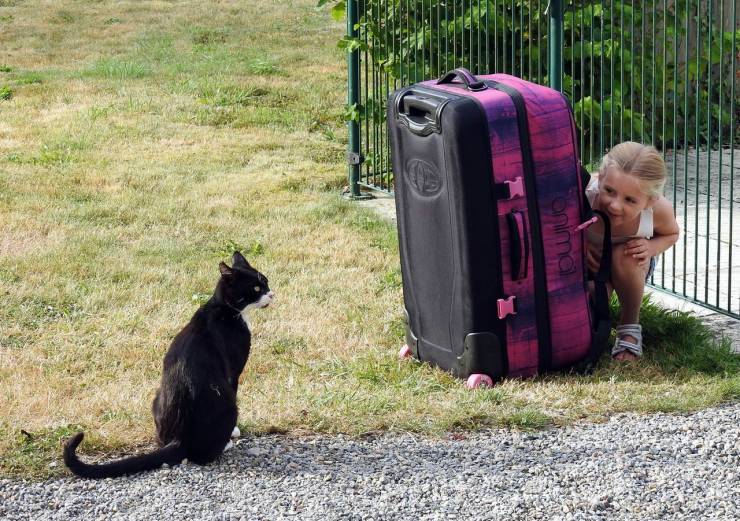 daily picdump 96 pics 39.html - 96 HD Photos | Premium Gallery 2019