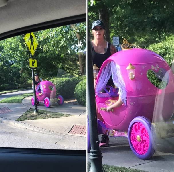 daily picdump 96 pics 39.html - 96 HD Photos | Premium Gallery 2019